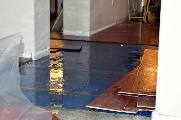 Professional Basement Flood Cleanup technician working in Charleroi, PA